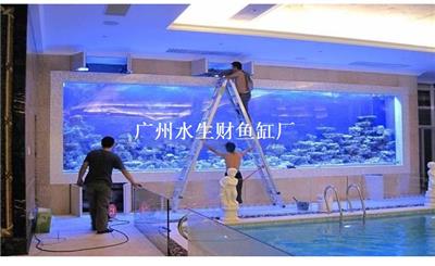 广州鱼缸造景、越秀区亚克力鱼缸、鱼缸设计