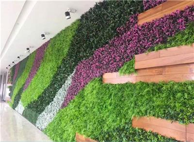 仿真植物墙植物 装饰背景墙专业安装专业设计欢迎咨询
