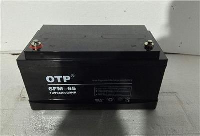 OTP蓄电池GFM-800厂家服务
