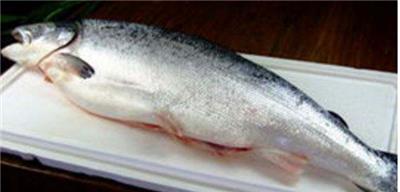 智利三文鱼进口清关代理，青岛海鲜进口清关公司