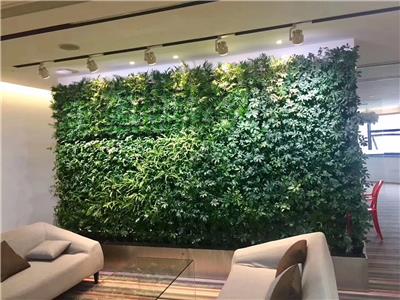 真植物墙专注绿色环保设计*特,形象逼真,质量**