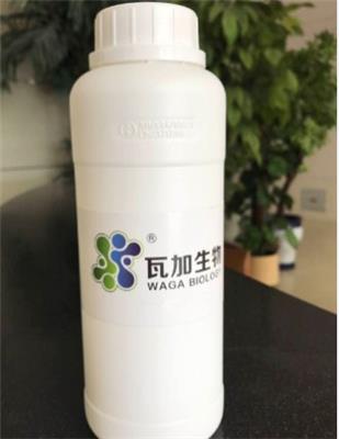 安徽专业水处理杀菌剂WPH制造厂家 口碑推荐 上海瓦加生物科技供应