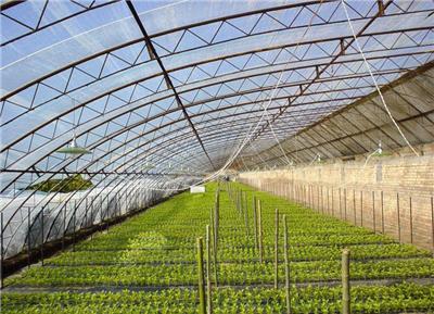 智能蔬菜温室建造 七洲 恒温智能蔬菜温室生产商