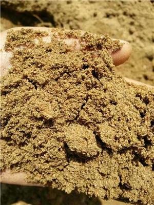 黄沙批发 天津西青沙子厂家销售 黄沙 矿沙 家庭装修沙子水泥销售
