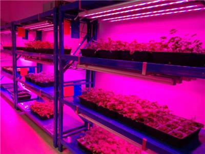 热销新款18w植物灯Led植物灯 室内植物生长灯
