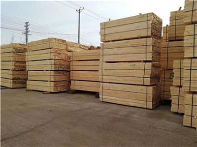 洛阳桥梁木方厂家 服务为先 百顺木业供应