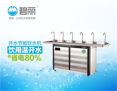 碧丽节能省电饮水机设备200人用大型温开水直饮机