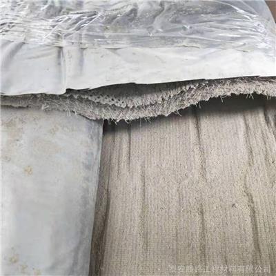 新型水泥毯价格 山东水泥毯厂家 水泥毯帆布多少钱一平方