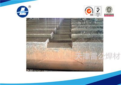 天津雷公LB1000堆焊篦板耐磨焊丝