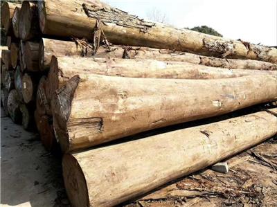 贵州重蚁木生产厂家