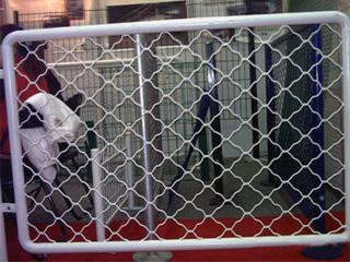 公路铁路护栏网**道路锌钢护栏|体育场围栏隔离网|建筑爬架网厂