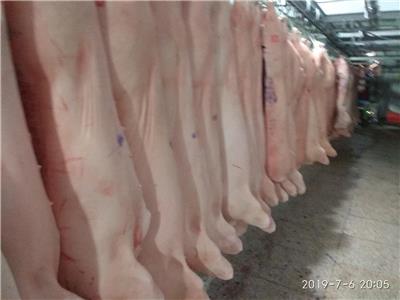 生猪猪肉制品销售