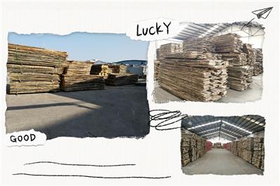 欧洲鹅耳枥木烘干板材一手货源国外林场直发国内现货多种厚度