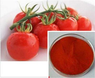 番茄提取物多种规格1公斤起订厂家包邮
