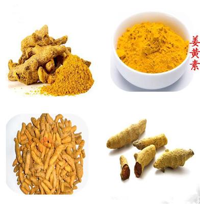 热销姜黄提取物多种规格1公斤起订长期供应