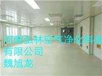 河南净化工程公司洛阳制药厂食品厂酸奶水厂无尘灌装车间彩钢板净化板岩棉板信阳兽药厂洁净厂房施工设计净化车间