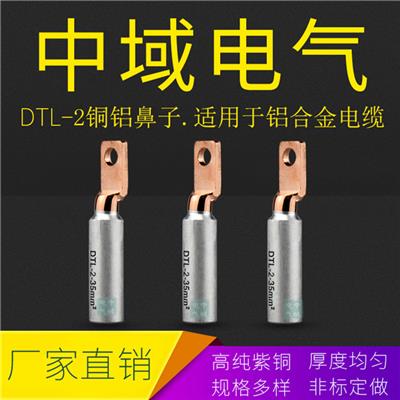 厂家直销 欧标DTL-2-95平方方头铜铝鼻子 导电性能好 中域电气