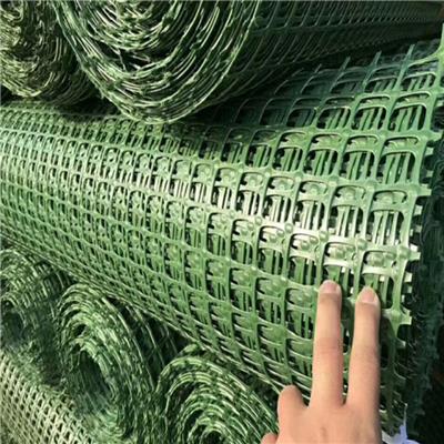青岛绿色双向塑料格栅爬藤网 植物爬藤网