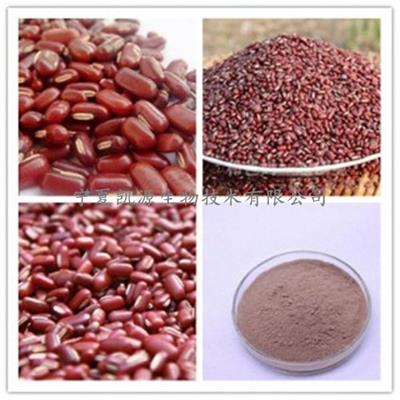 赤小豆提取物 赤小豆粉 多种规格 比例提取 1公斤起订