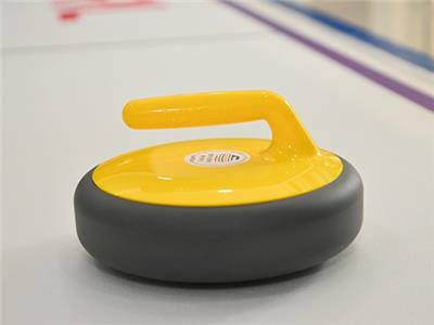 模拟冰壶运动 吉林省健亚体育文化发展供应