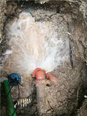 泰州自来水管漏水探测公司找水卫士漏水检测