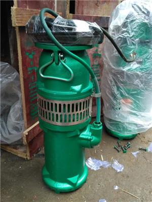衡阳市水泵厂QY65-5-1.5，农用泵