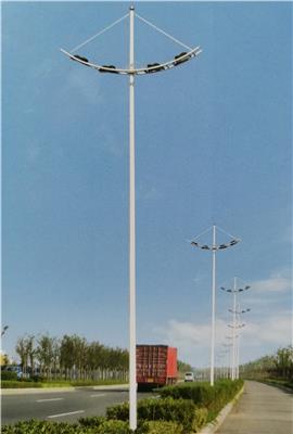 郑州太阳能路灯厂家 乡村太阳能灯厂家安装
