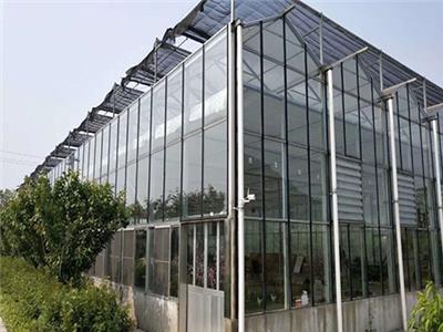 玻璃温室大棚,蔬菜种植棚,草莓大棚厂家直销