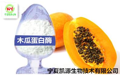 木瓜蛋白酶 优质食品级木瓜活性蛋白酶