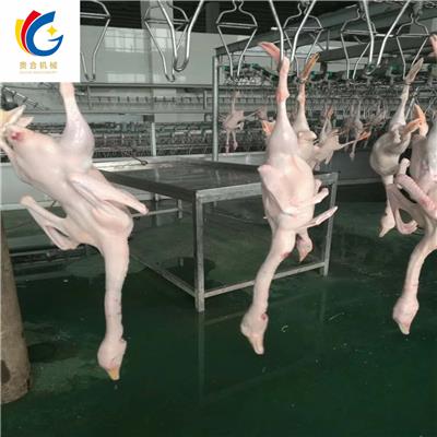 家禽屠宰设备 杀鸡杀鸭流水线 生产厂家