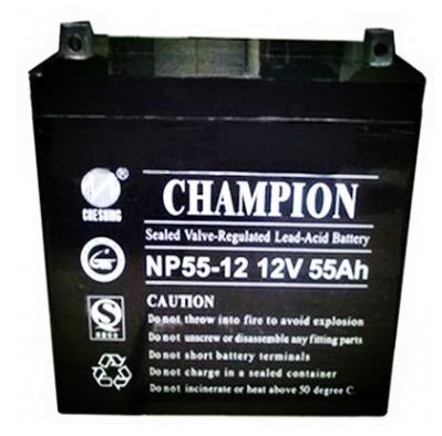 冠军蓄电池NP55-12 CHAMPION蓄电池价格
