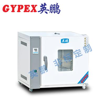 广州电热恒湿干燥箱YPHX-202TP