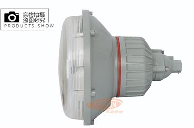 防爆无极灯电磁感应灯120w150w80w钢厂化工厂**灯