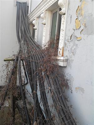常州电缆线回收 常州上上电缆线回收拆除
