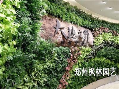 郑州枫林厂家专业设计安装室内室外仿真植物墙