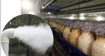 阳江蘑菇房喷雾降温加湿 zx-163系统 环保节能