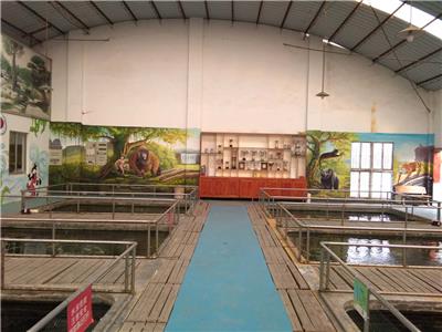 杭州锦鲤养殖场