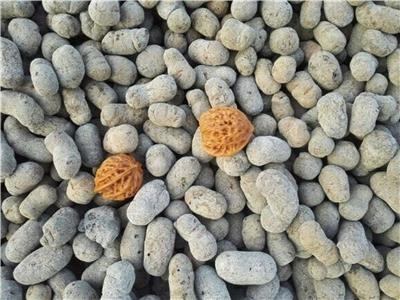 湖北混凝土陶粒，武汉生物陶粒生产厂家