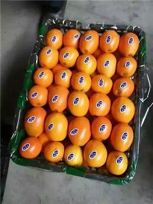 黄冈冰糖橙品牌