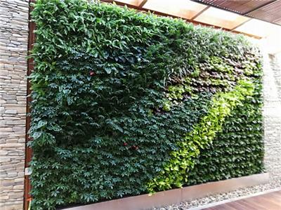 石家庄植物墙、绿植墙免费测量设计