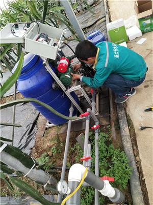 菏泽西红柿大棚种植用手动水肥一体机