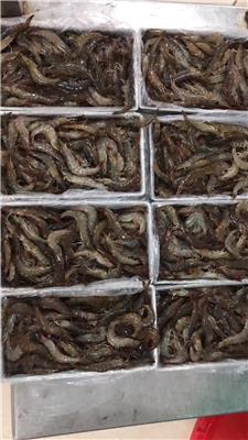 南美大虾6盒装40-50规格