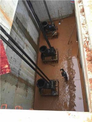 杭州**潜水泵220v	家用小型	不锈钢抽水机	扬程农用灌溉	抽水排污	水泵