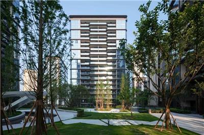 承接江门园林绿化设计施工 私人别墅设计施工