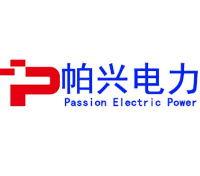 南京帕兴电力科技有限公司