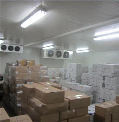 集装箱进出口运输方式 深圳市邦联威国际物流有限公司