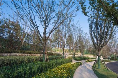 21年广州园林绿化设计施工经验需要的联系我们