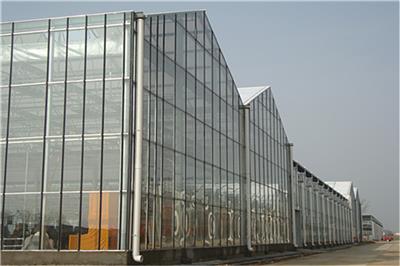 连栋温室大棚-玻璃大棚报价-温室大棚厂家