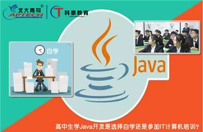 学Java软件开发是选择*还是参加IT计算机培训