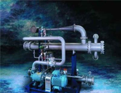 河北NASH™喷射器液环泵复合系统厂家报价